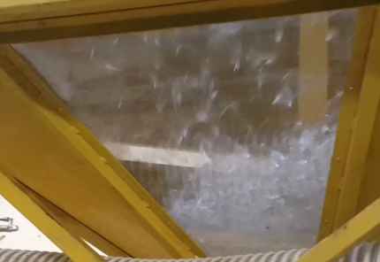 Пух ваточника сирийского 